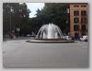 dsc00537.jpg